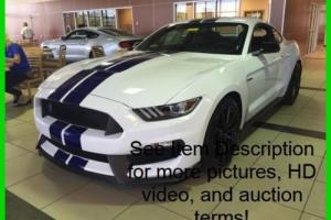 2016 Ford Mustang Shelby Photo