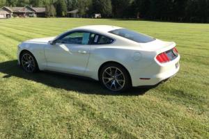 2015 Ford Mustang 50th Anniversary Limited Edition
