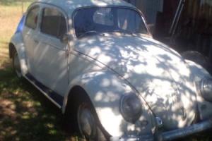 vw volkswagen beetle 1958