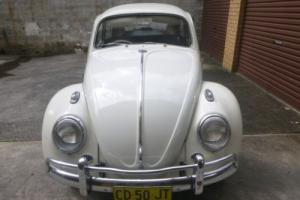 COLLECTORS CAR 1963 VW BEETLE Original & Immaculate Condition Photo