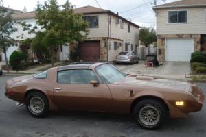 1981 Pontiac Trans Am