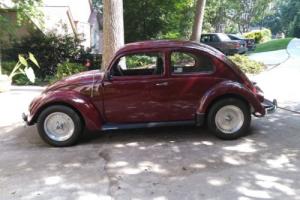 1954 Volkswagen Beetle - Classic Photo