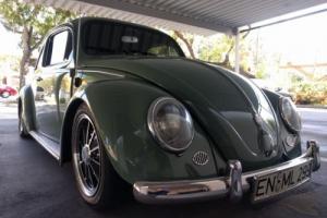 1961 Volkswagen Beetle-New Photo