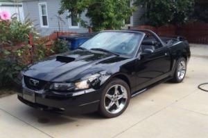 2001 Ford Mustang GT Photo