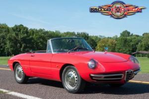 1967 Alfa Romeo Spider Spider