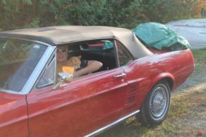 Ford: Mustang convertible
