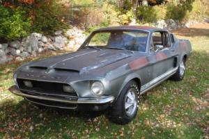 1968 Shelby GT 350 Fastback Photo