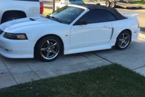 2000 Ford Mustang Roush Stage 2 Photo