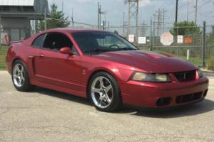 2004 Ford Mustang SVT 2dr Supercharged Coupe