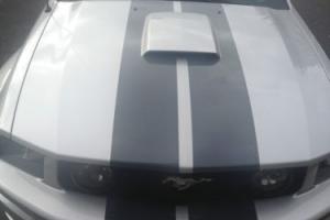2007 Ford Mustang GT Premium Plus