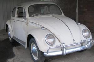 VW Beetle 67 Deluxe