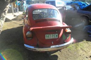 VW  Beetle