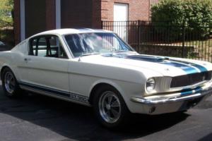 1965 Shelby Mustang Photo