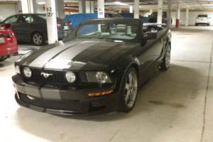 2005 Ford Mustang GT Photo