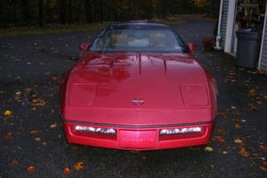 1989 Chevrolet Corvette Photo