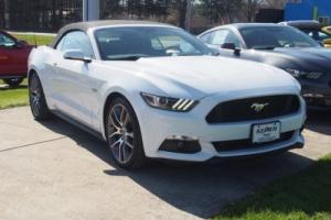 2015 Ford Mustang Photo