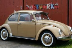 Volkswagen Beetle 1969 Photo