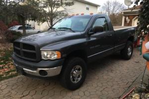 2003 Dodge Other Pickups Photo