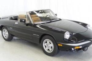 1986 Alfa Romeo Spider