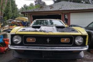 Ford: Mustang MACH 1 Photo