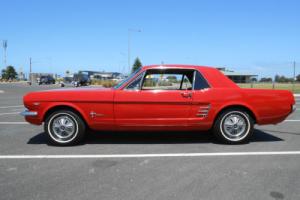 FORD MUSTANG 1966 COUPE Photo