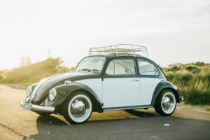 Classic 1969 Volkswagen Beetle