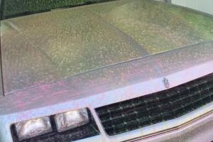 1985 Chevrolet Monte Carlo