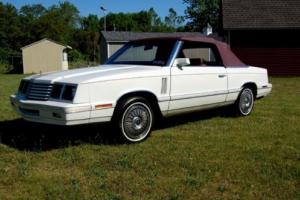 1982 Dodge Other Convertible Photo