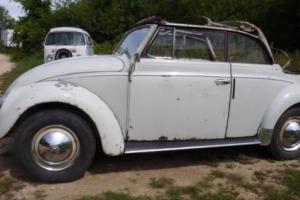 1959 Volkswagen Beetle - Classic Photo