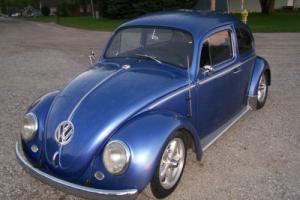 1964 Volkswagen Beetle - Classic Photo