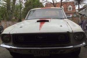Ford Mustang 1968.5 R code Coupe Photo