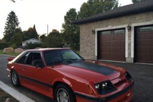 1986 Ford Mustang GT Photo