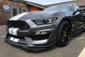2016 Ford Mustang GT350R Photo