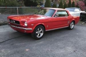 1966 Ford Mustang