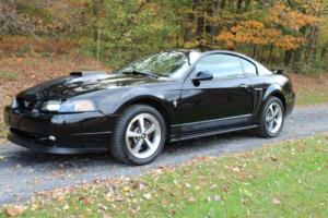 2003 Ford Mustang MACH I Photo
