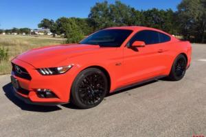 2015 Ford Mustang GT 2dr Fastback Photo