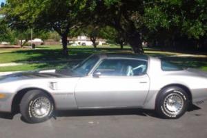 1979 Pontiac Trans Am Photo