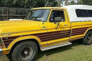 Ford F100 Photo