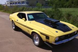 1973 Ford Mustang MACH 1 Photo