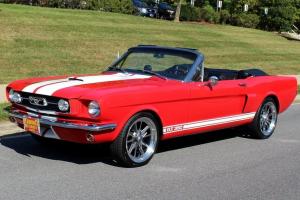 1965 Ford Mustang Shelby Photo