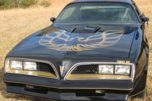 1977 Pontiac Trans Am Black on Gold