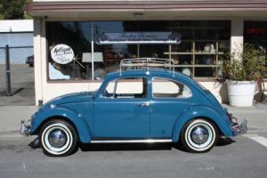 1966 Volkswagen Beetle - Classic Beetle