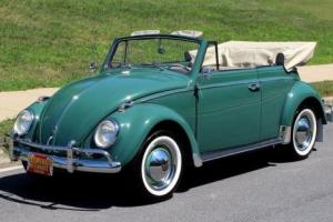 1960 Volkswagen Beetle-New Cabriolet Photo