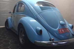 1956 Oval Window VW Beetle Photo