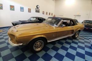 1968 Shelby GT 500 Convertible Photo