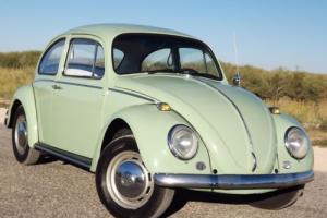 1966 Volkswagen Beetle - Classic Photo