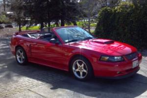 2003 Ford Mustang GT - Super Charged Photo