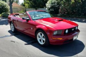 2009 Ford Mustang GT PREMIUM Photo