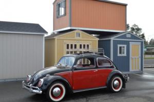 1959 Volkswagen Beetle - Classic AIR COOLED Photo