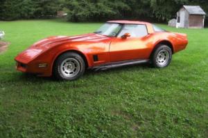 1980 Chevrolet Corvette - REDUCED PRICE - Must Sell Photo